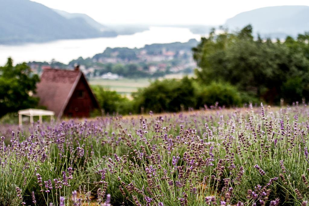 Natura Hill Zebegeny - Butik Szobak Es Etterem Bagian luar foto