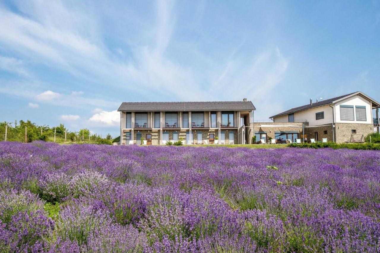 Natura Hill Zebegeny - Butik Szobak Es Etterem Bagian luar foto